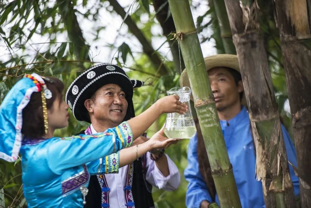 乐享云南 | 非遗·永平彝族龙竹酒制作技艺